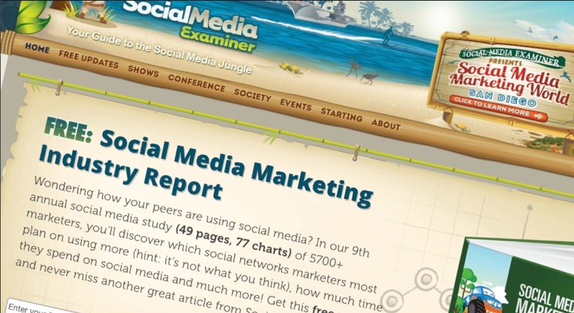 Screenshot of Social Media Examiner blog