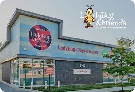 ladybug