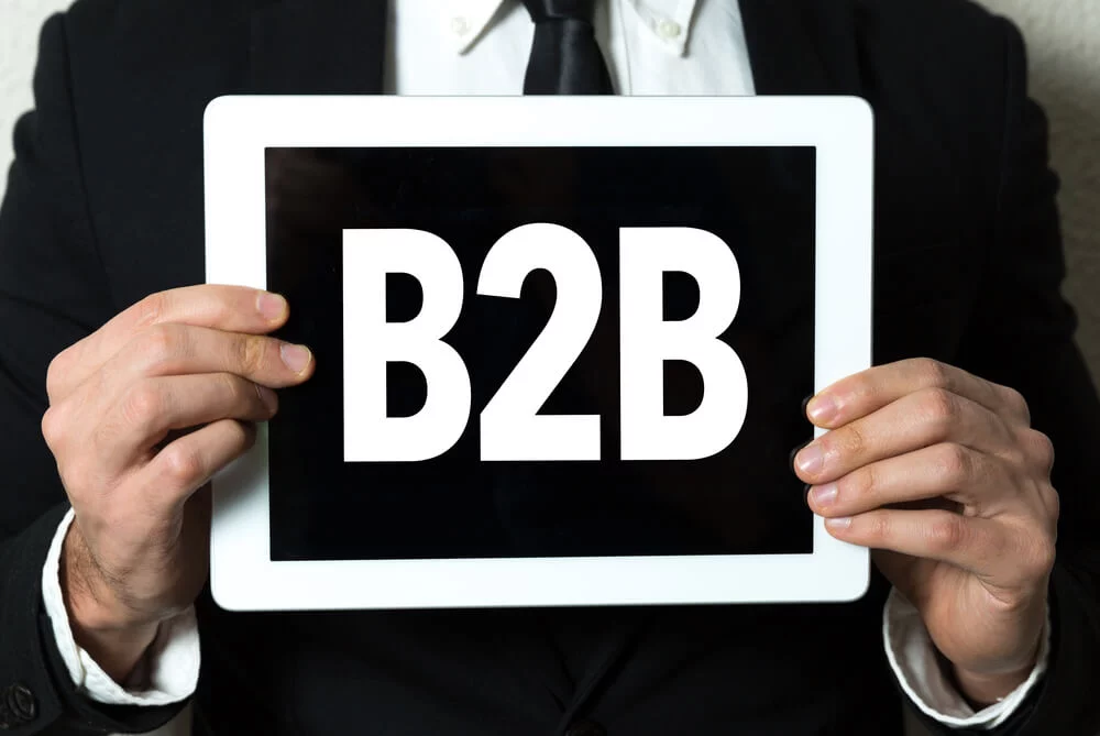 b2b seo campaigns_B2B