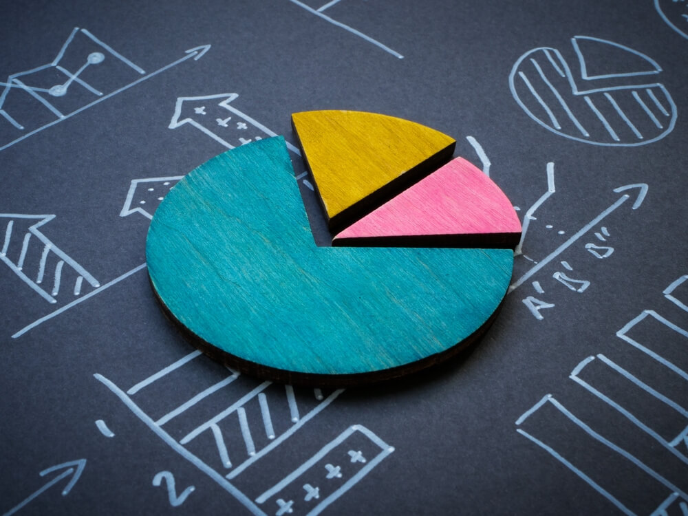 market niche_Market Niche and segmentation. Business graphs and diagrams.