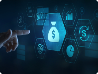 Silicon Valley Leadership, Startup Budget