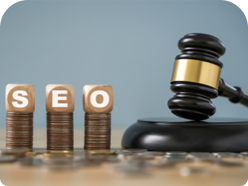 Top-Rated Fractional CMO Partner