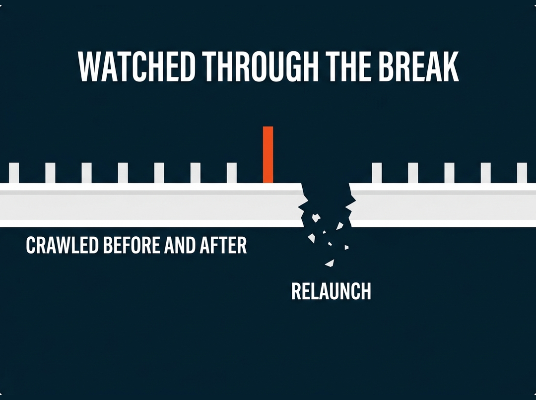 DAP crawled Blue Chip Partners before and after the relaunch, watching the site through the break